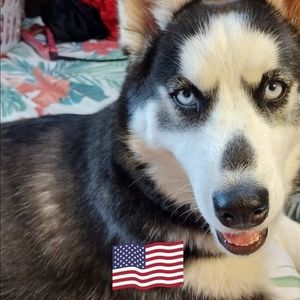 Meet your Posher, Barbara